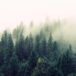 Inside making a complete checklist: notes, examples and checks
